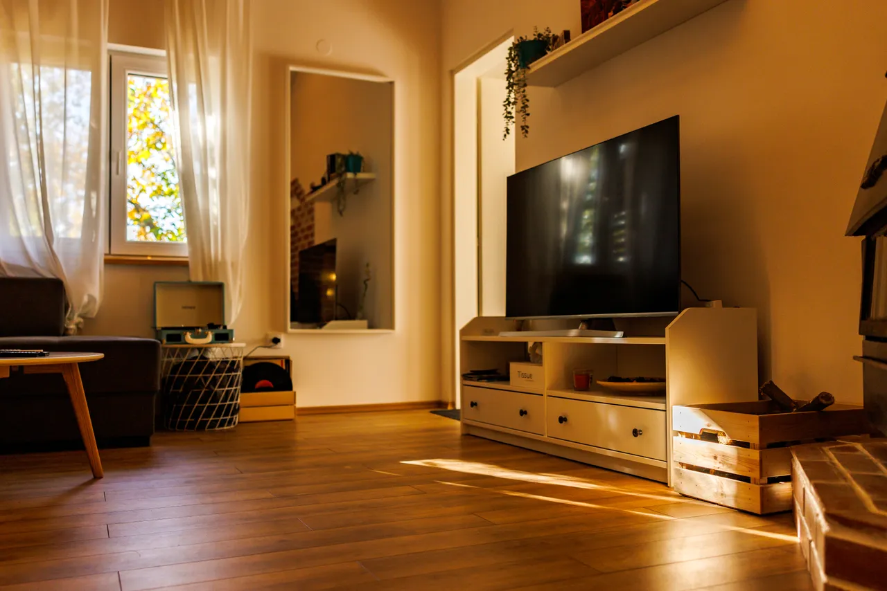 Best View Apartment, Novi Sad
